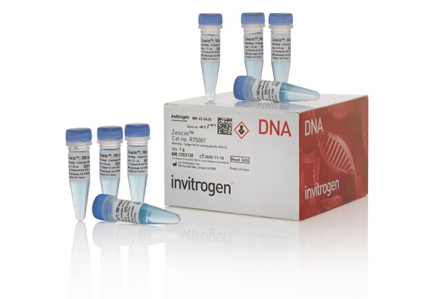 Thermo Fisher Scientific Gibco Zeocin Selection Reagent