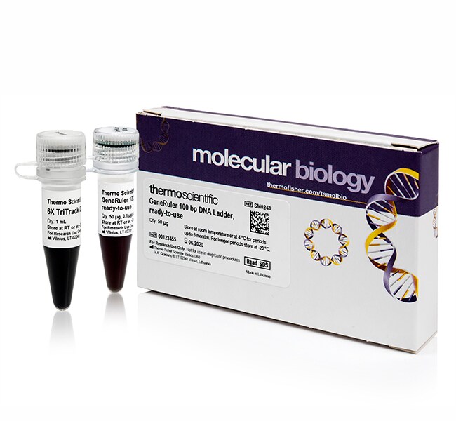 Thermo Fisher Scientific GeneRuler 100 bp DNA Ladder, ready-to-use