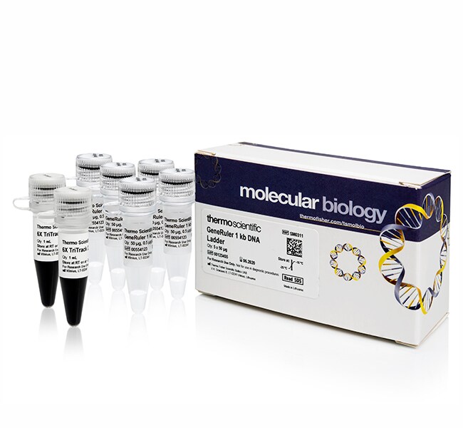 Thermo Fisher Scientific GeneRuler 1 kb DNA Ladder