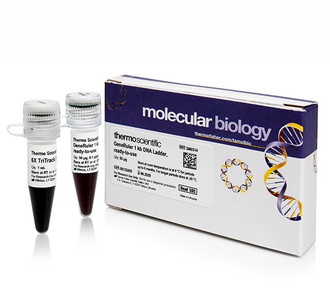 Thermo Fisher Scientific GeneRuler 1 kb DNA Ladder, Ready-to-Use