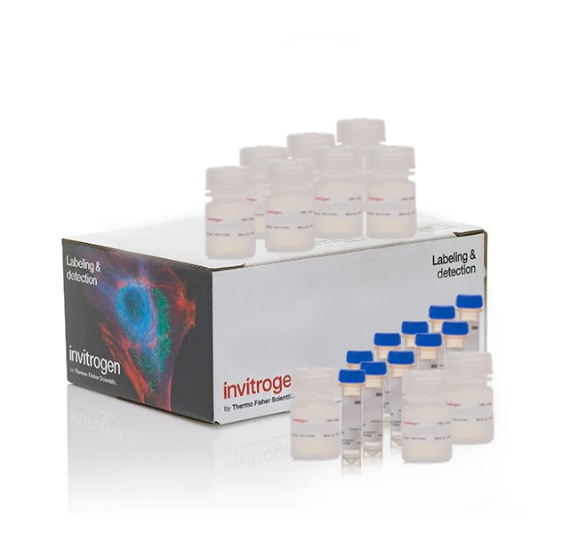 Thermo Fisher Scientific Invitrogen CyQUANT MTT Cell Viability Assay