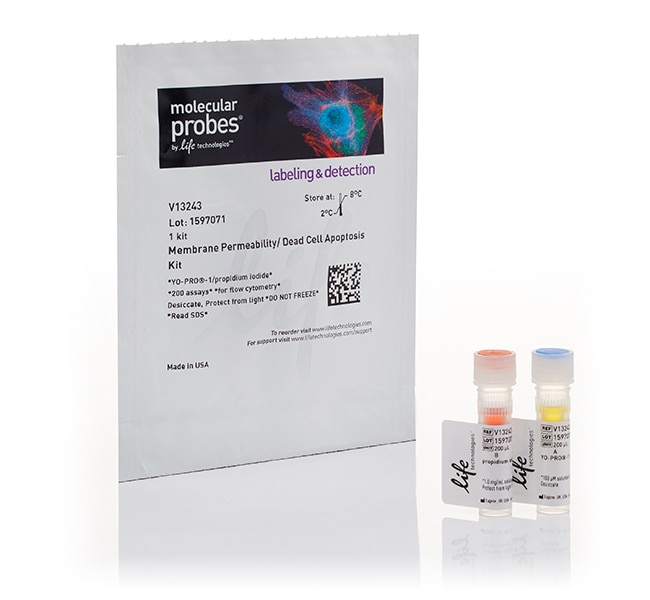 Thermo Fisher Scientific Invitrogen Vybrant Apoptosis Assay Kits for apoptotic and necrotic cell staining
